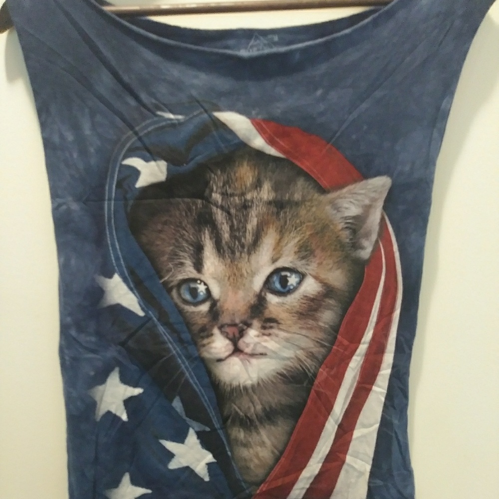 American Kitty!!!